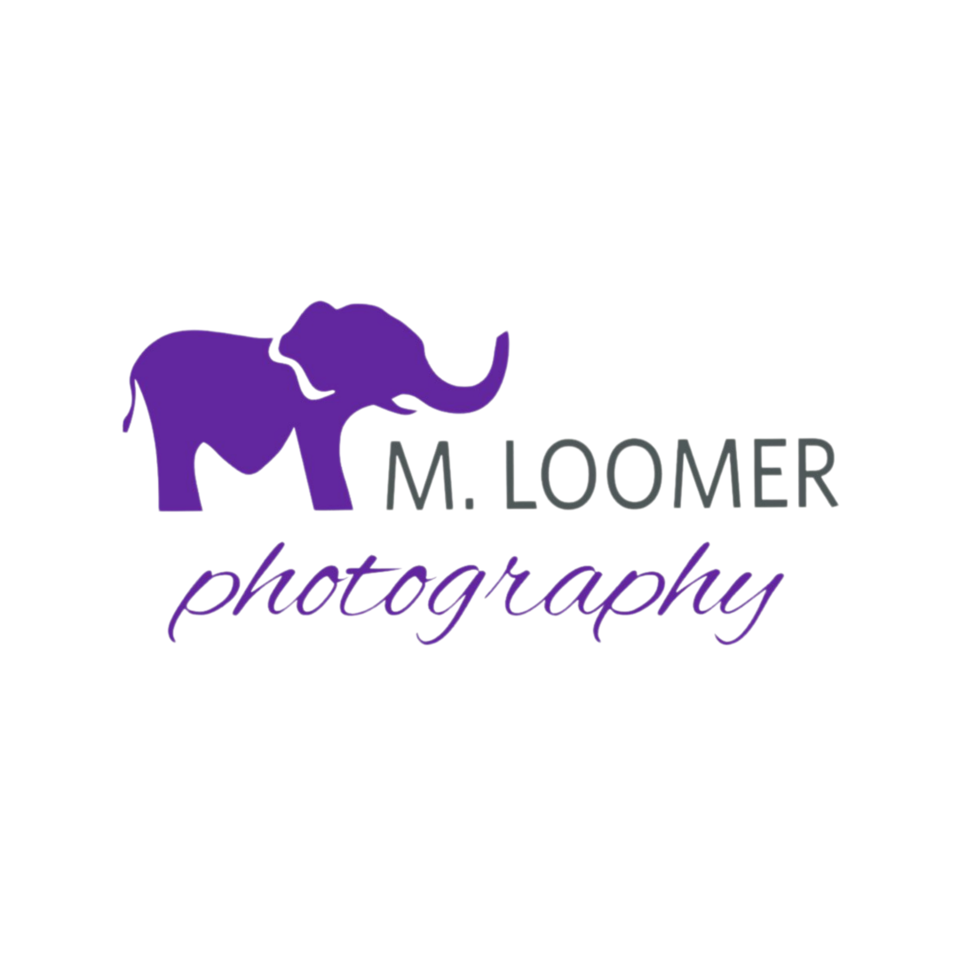m loomer photography bookkeeping
